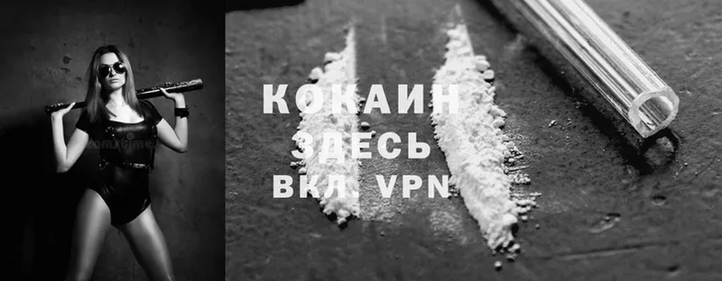 Где можно купить наркотики Заводоуковск Марихуана  Alpha PVP  мега как зайти  Cocaine  ГАШИШ 